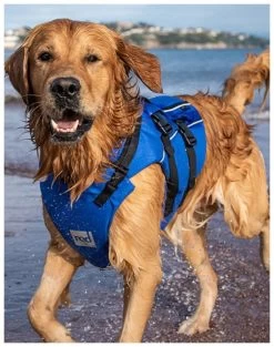 Red Paddle Co. Red Paddle Co Dog Buoyancy Aid -Surf Promotiewinkel red paddle co dog buoyancy aid blue xs 330 480 mm blue 6