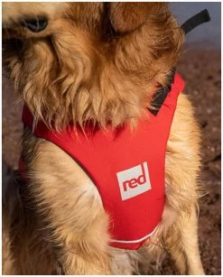 Red Paddle Co. Red Paddle Co Dog Buoyancy Aid -Surf Promotiewinkel red paddle co dog buoyancy aid red 5 1