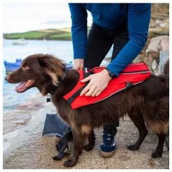 Red Paddle Co. Red Paddle Co Dog Buoyancy Aid -Surf Promotiewinkel red paddle co dog buoyancy aid xs 330 480 mm red 3